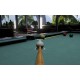 Pool Nation FX - Unlock ALL Assets DLC Bundle Steam CD Key