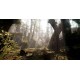 Warhammer: Vermintide 2 - Collector's Edition PC Steam CD Key