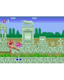 Altered Beast Steam CD Key