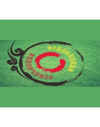 Circlecers PC Steam CD Key