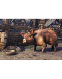 The Elder Scrolls Online - Bristlegut Piglet + 15 days of TESO Plus DLC Digital Download CD Key