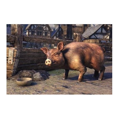 The Elder Scrolls Online - Bristlegut Piglet + 15 days of TESO Plus DLC Digital Download CD Key