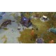 Northgard + Sváfnir, Clan of the Snake DLC Steam CD Key