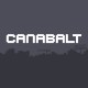 Canabalt PC Steam CD Key