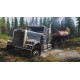 Spintires: MudRunner - American Wilds Expansion DLC PC Steam CD Key