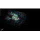 HellSign EU PC Steam Altergift