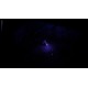 HellSign EU PC Steam Altergift