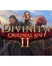 Divinity: Original Sin 2 NA Steam Altergift