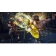 TEKKEN 7 - Season Pass 2 EU PC Steam CD Key