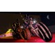 Grand Theft Auto V Premium Online Edition & Whale Shark Card Bundle Rockstar Digital Download CD Key