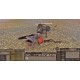 Kenshi EU PC Steam Altergift