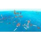 Flotsam EU PC Steam Altergift