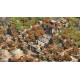 Age of Empires II: Definitive Edition PC Windows 10 CD Key