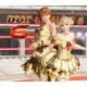 DEAD OR ALIVE 6 - Season Pass 4 EU Steam Altergift