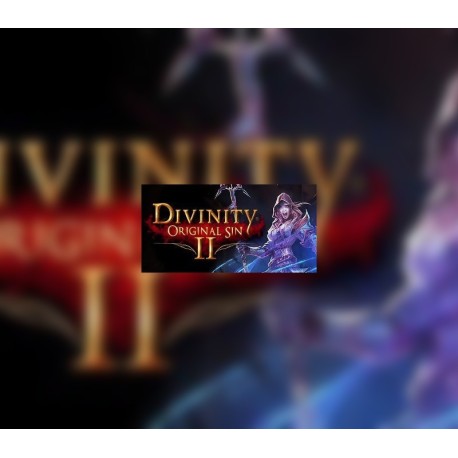 Divinity: Original Sin 2 - Divine Ascension DLC EU PC Steam Altergift