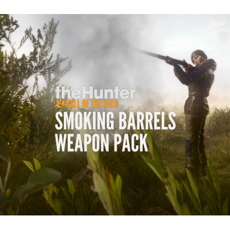 theHunter: Call of the Wild - Smoking Barrels Weapon Pack DLC PC Steam Altergift