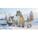 Planet Zoo - Arctic Pack DLC PC Steam CD Key