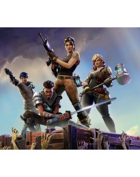 Fortnite: Save the World - Standard Founder's Pack Epic Games CD Key