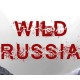 Wild Russia Steam CD Key