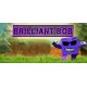 Brilliant Bob Steam CD Key