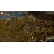 Europa Universalis IV - Res Publica Expansion DLC EU PC Steam CD Key