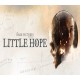 The Dark Pictures Anthology: Little Hope EU PC Steam CD Key