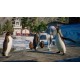 Planet Zoo - Aquatic Pack DLC EU (without CH/HR/RS) PC Steam Altergift