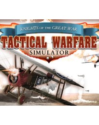 Tactical Warfare Simulator Steam CD Key