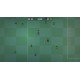 Ballsy! World Cup 2020 PC Steam CD Key