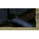 Siege of Avalon: Anthology PC Steam CD Key