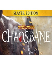 Warhammer: Chaosbane - Slayer Edition Upgrade Steam CD Key