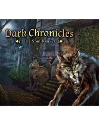 Dark Chronicles: The Soul Reaver Steam CD Key