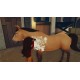 DreamWorks Spirit Lucky's Big Adventure EU PC Steam CD Key