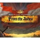 Kingdom Come: Deliverance - From the Ashes DLC EU Steam CD Key
