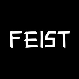 Feist PC Steam CD Key