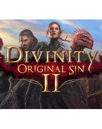 Divinity: Original Sin 1 + 2 Bundle GOG CD Key