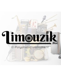 Limouzik Steam CD Key