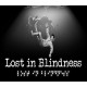 Lost in Blindness PC Steam CD Key