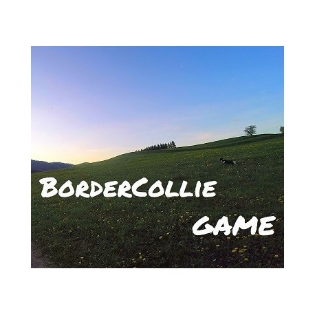 BorderCollie Game Steam CD Key