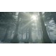 Myst EU v2 Steam Altergift