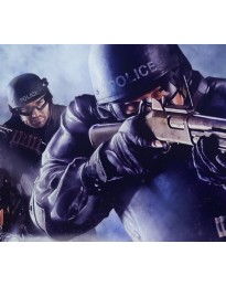 SWAT 4: Gold Edition PC Download CD Key