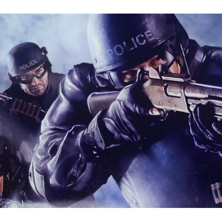 SWAT 4: Gold Edition PC Download CD Key