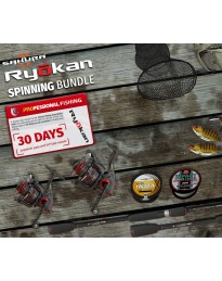 Professional Fishing - Sakura Ryokan Spinning DLC Steam CD Key