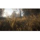 theHunter: Call of the Wild 2021 Complete Collection Steam CD Key