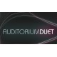 Duet Steam CD Key
