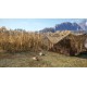 theHunter: Call of the Wild - Duck and Cover Pack DLC PC Steam CD Key