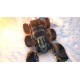 GRIP: Combat Racing - Terra Garage Kit DLC PC Steam CD Key
