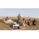 Arma 3 Creator DLC: Western Sahara PC Steam Altergift