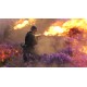 Battlefield V Definitive Edition EU PC Steam Altergift