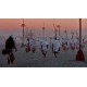 Burning Man: Beyond Black Rock Steam Gift